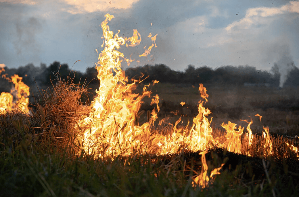 El Gobierno aprueba medidas temporales para garantizar derechos laborales, facilitar la recuperación económica y proteger a los afectados por incendios.